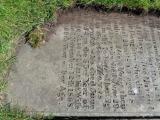 image of grave number 947509